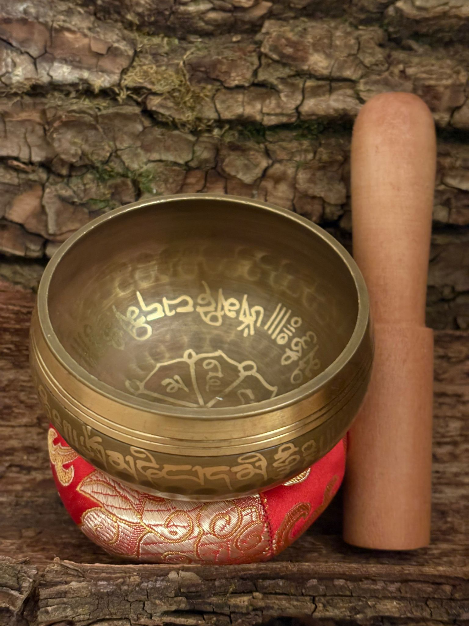 Bol chantant OM (bol + coussin + baguette)