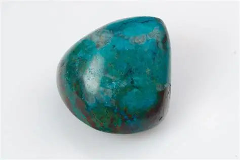 Chrysocolle