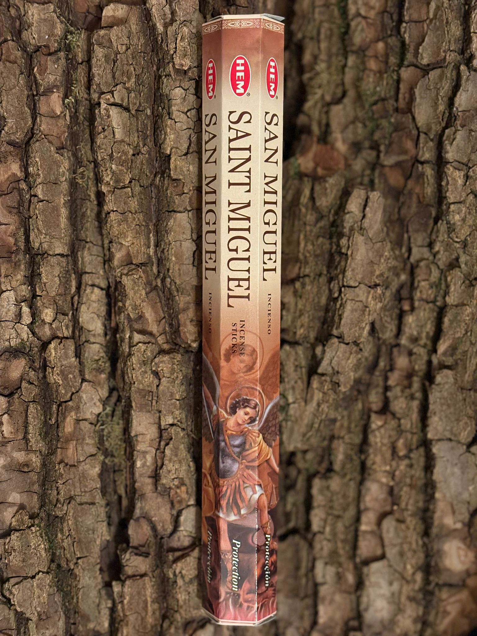 HEM Saint Michel Protection