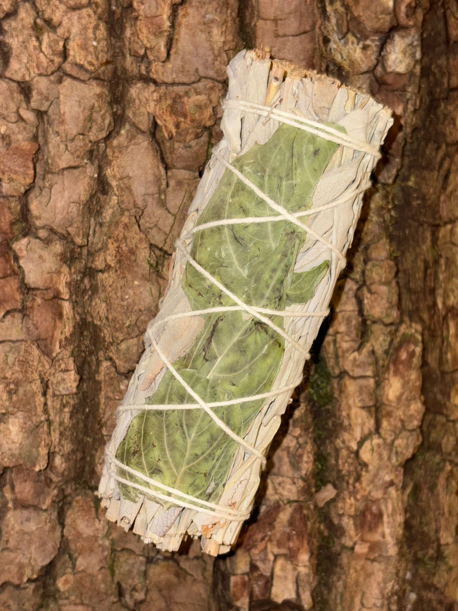 Bâton de sauge blanche avec basilic