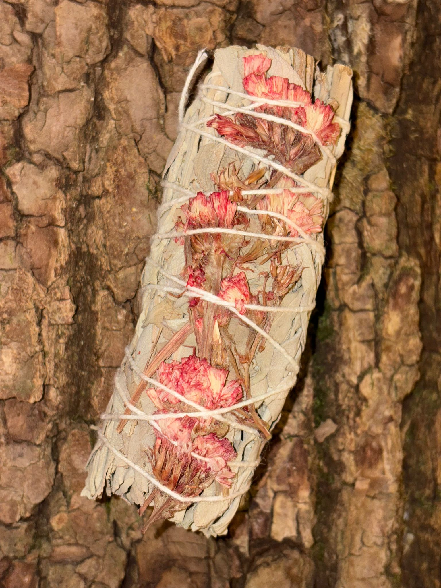 Bâton de sauge blanche avec lavande de mer rouge