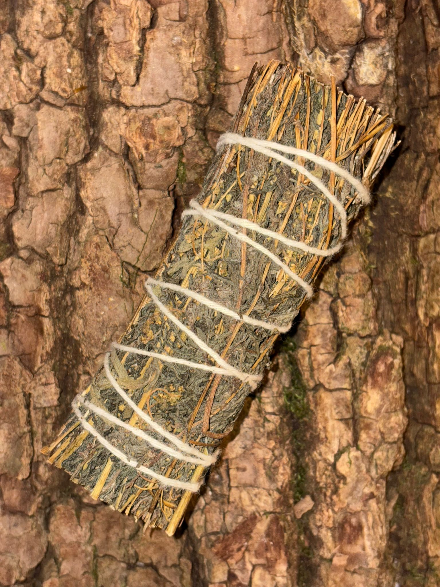 Bâton de sauge noire