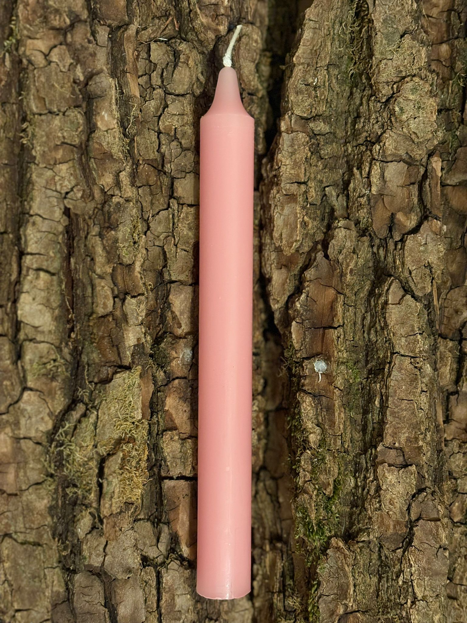 Bougie teintée dans la masse Rose Claire   – 22 cm