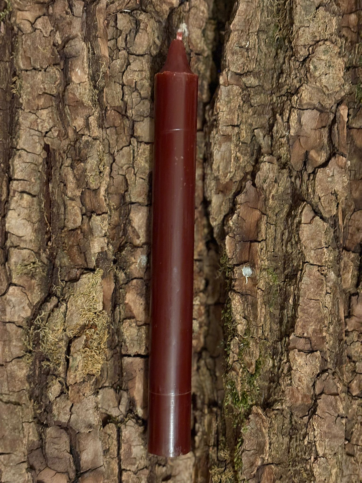 Bougie teintée dans la masse Bordeaux   – 22 cm