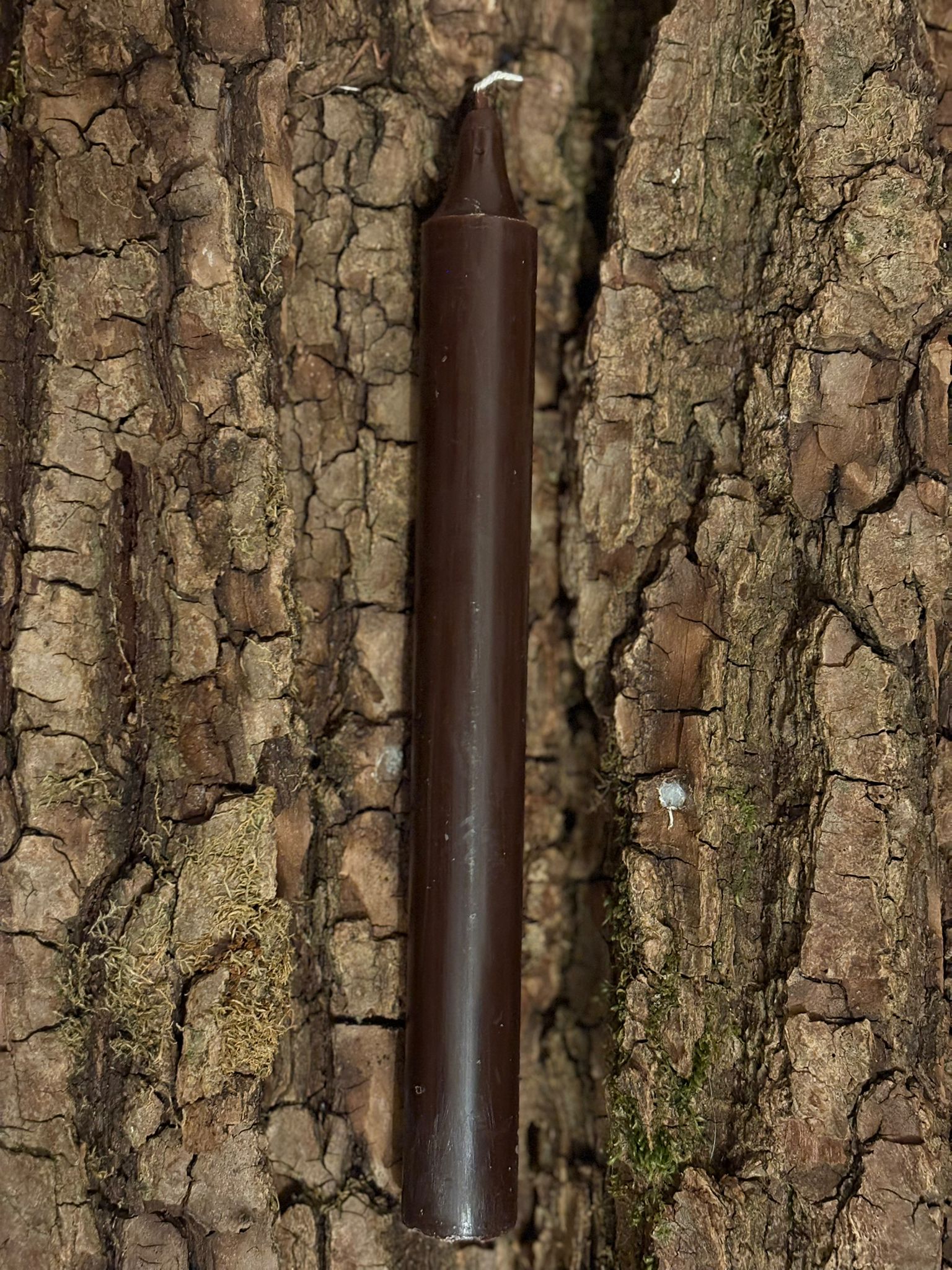 Bougie teintée dans la masse Marron   – 22 cm