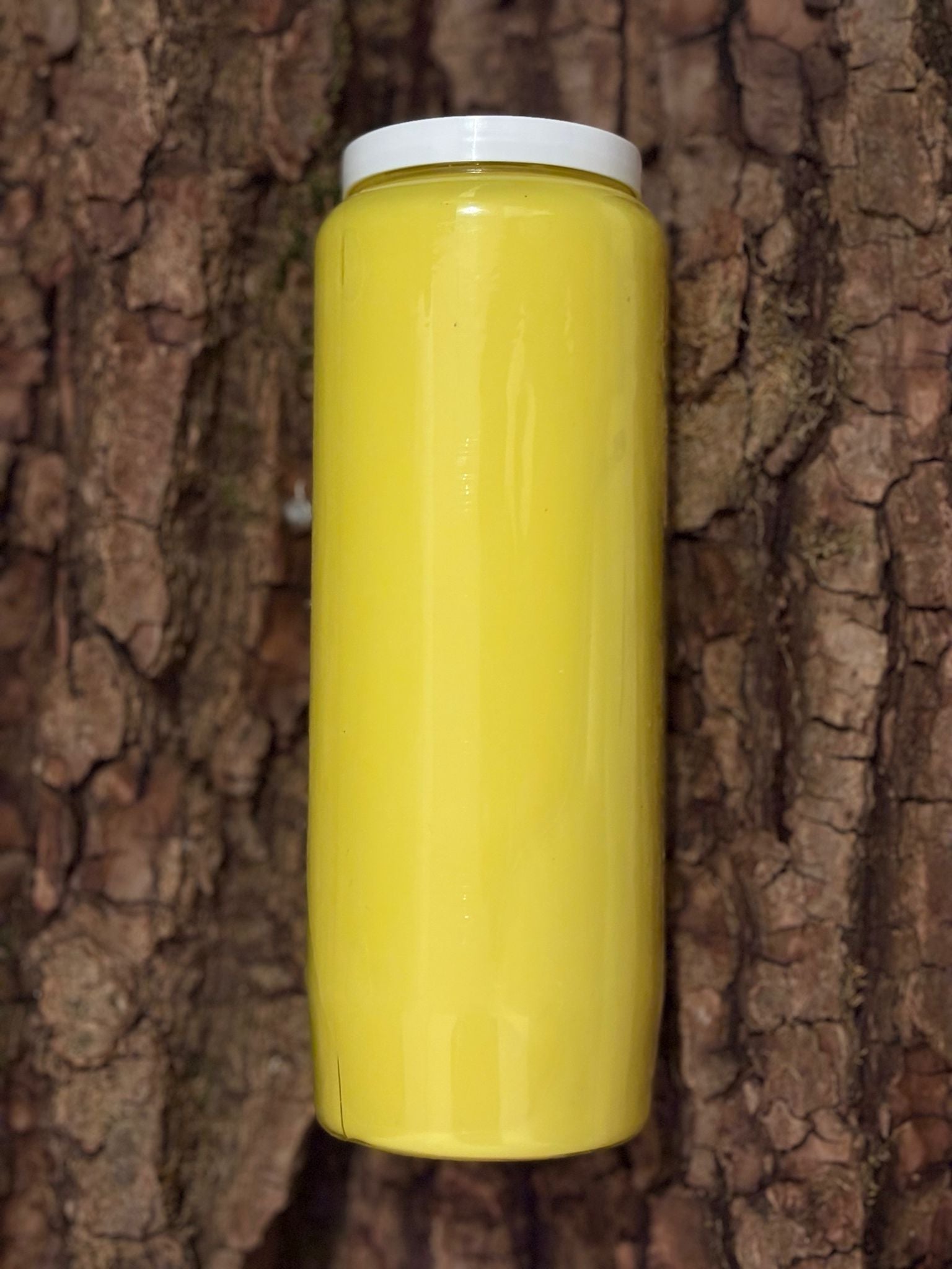 Bougie Neuvaine Jaune