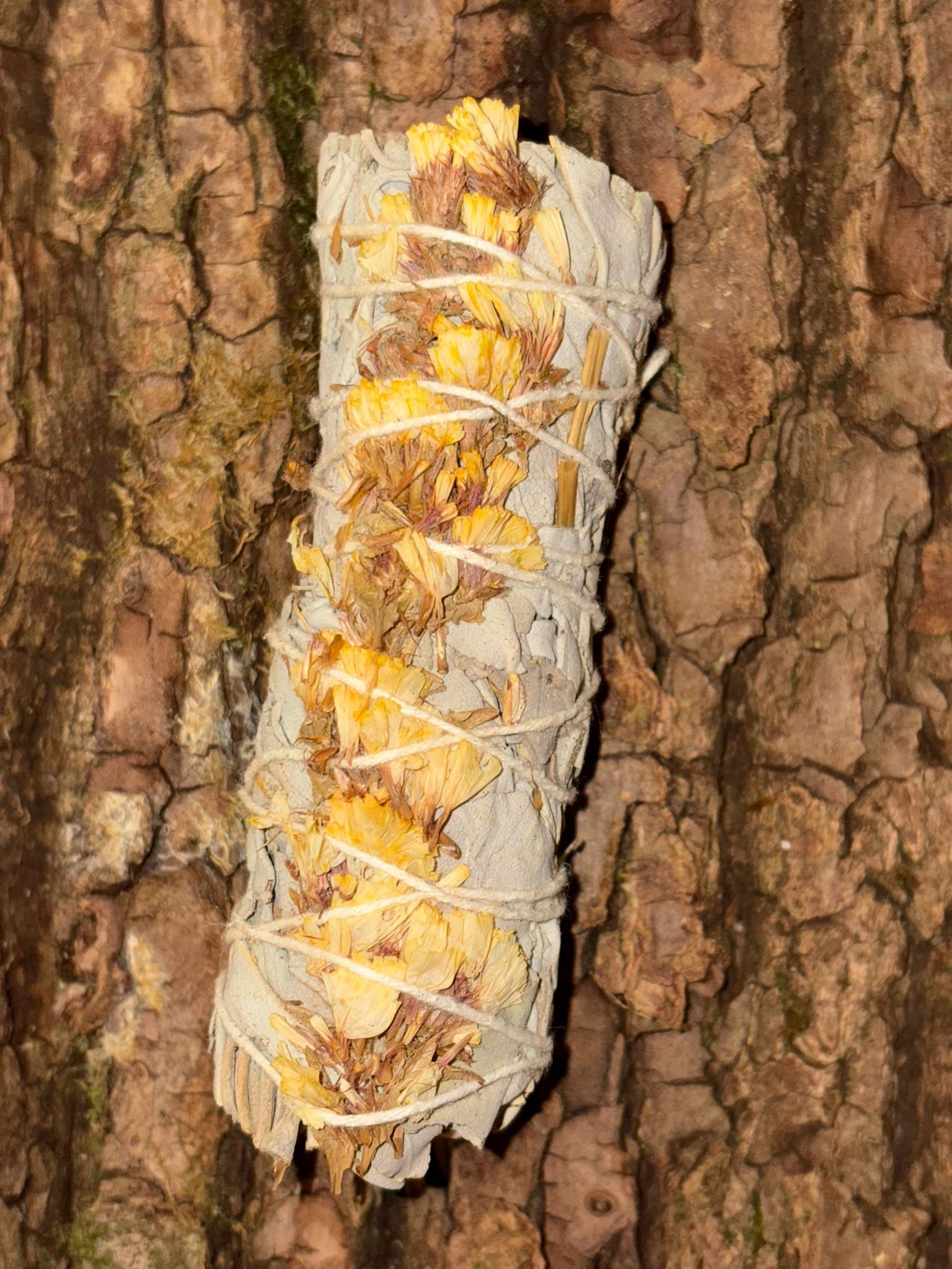 Bâton de sauge blanche avec lavande de mer jaune